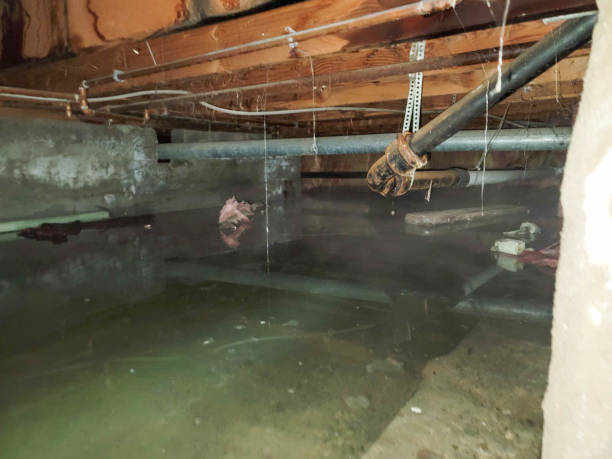 Best Fire Damage Restoration  in Winsted, CT