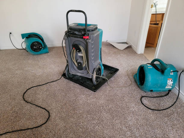 Best Carpet water damage restoration  in Winsted, CT
