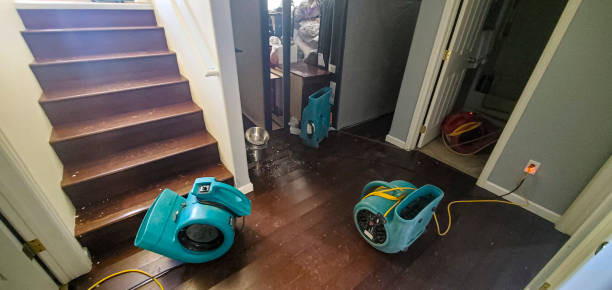 Best Sewage cleanup and water damage restoration  in Winsted, CT