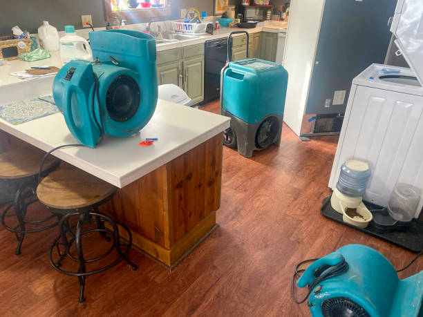 Best Water damage cleanup near me  in Winsted, CT
