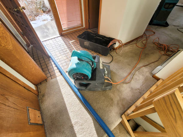 Best Water damage contractors near me  in Winsted, CT