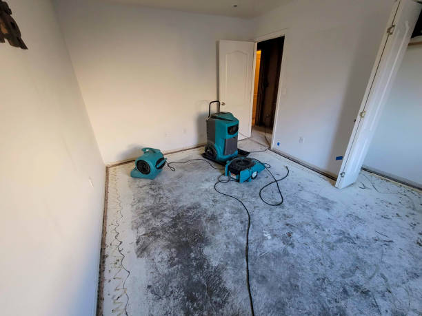 Best Mold removal after water damage  in Winsted, CT