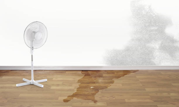 Best Professional water damage repair  in Winsted, CT