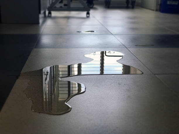 Best Water damage restoration near me  in Winsted, CT