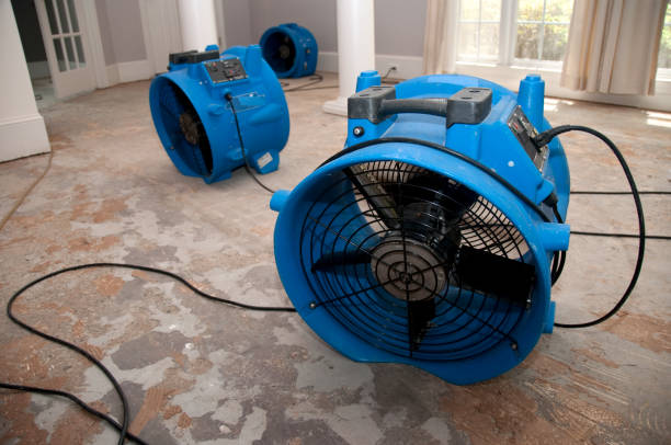 Fire Damage Restoration in Winsted, CT