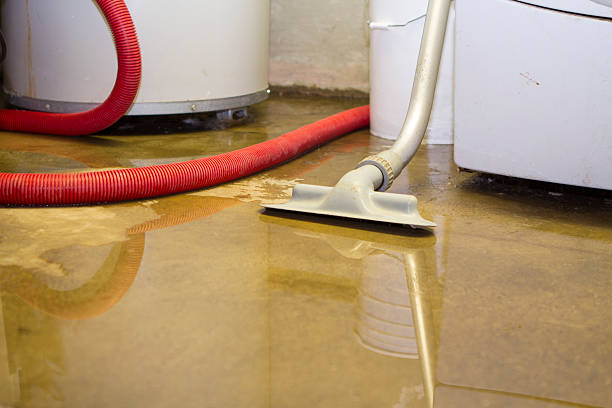 Best 24-hour water damage restoration  in Winsted, CT