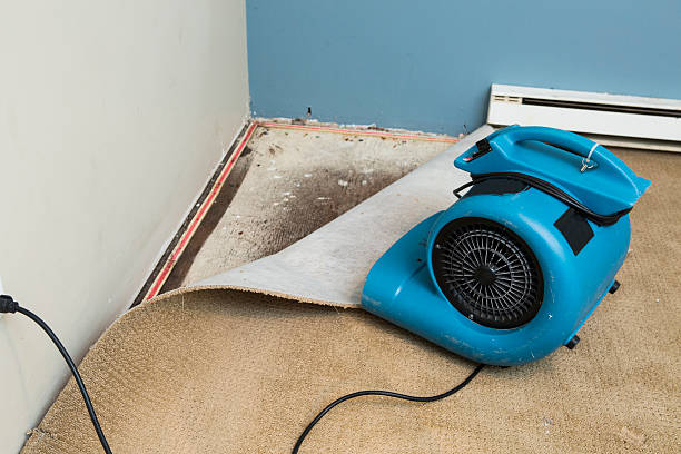 Best Ceiling water damage repair  in Winsted, CT